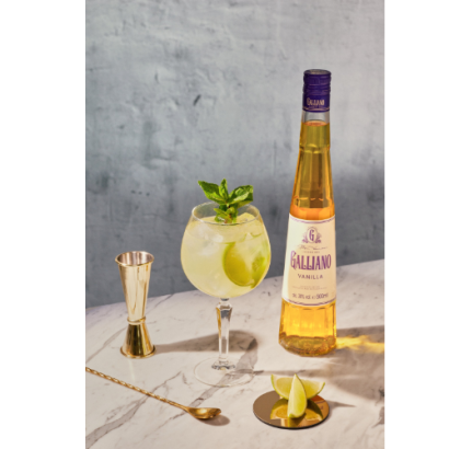 Galliano Vanilla Liqueur