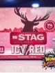 STAG red icy Vodka 7% - 473ml 12 pack