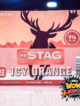 STAG orange Icy Vodka 7% - 473ml 12 Pack